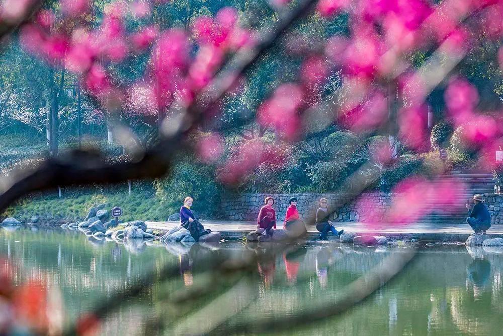 卢利明参加指导阿拉善高新区、乌兰布和示范区党工委领导班子主题教育专题民主生活会