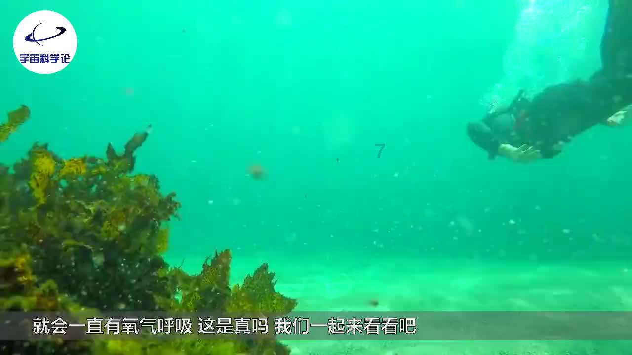 救援飞行员